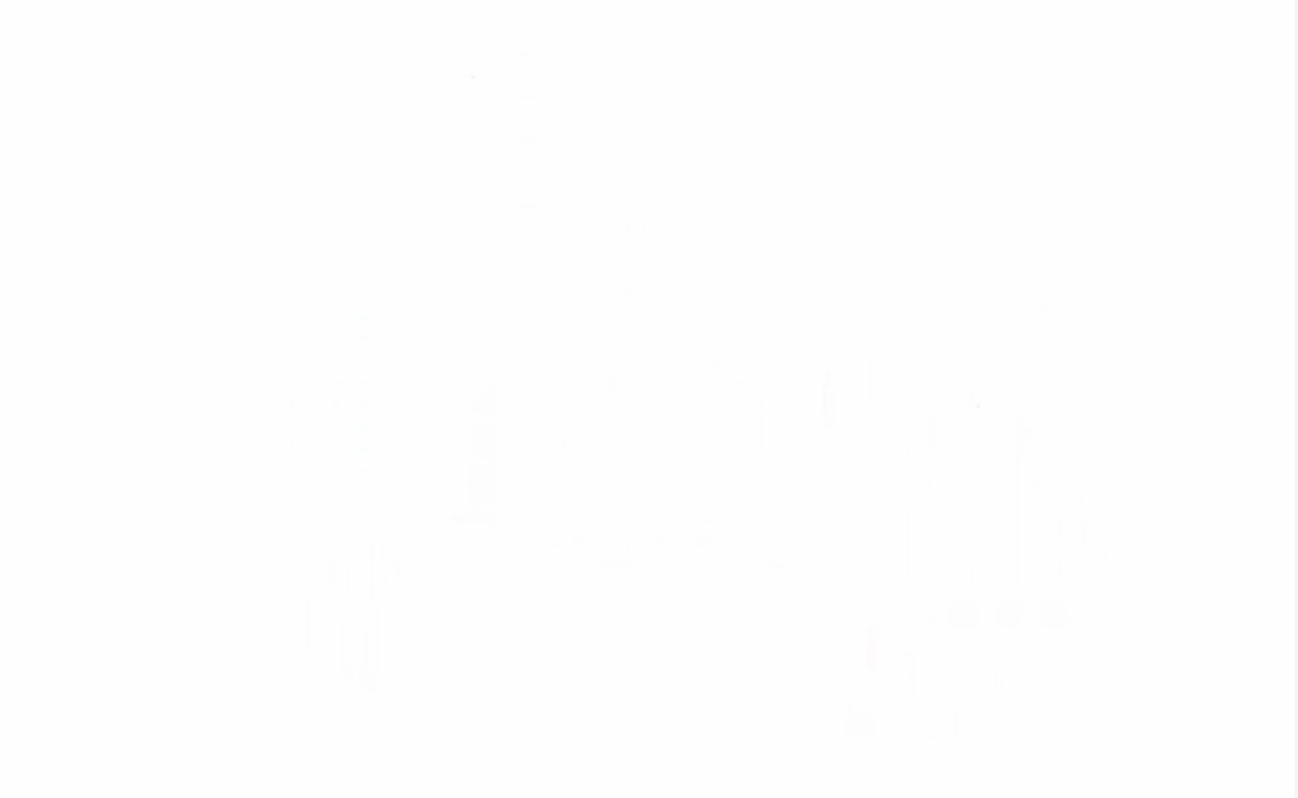 text-animation.gif